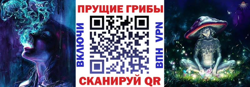 Псилоцибиновые грибы MAGIC MUSHROOMS  продажа наркотиков  Покровск 